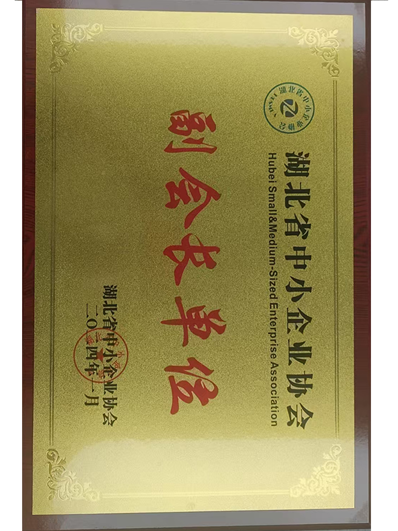 2024年度湖北省中小企业协会副会长单位