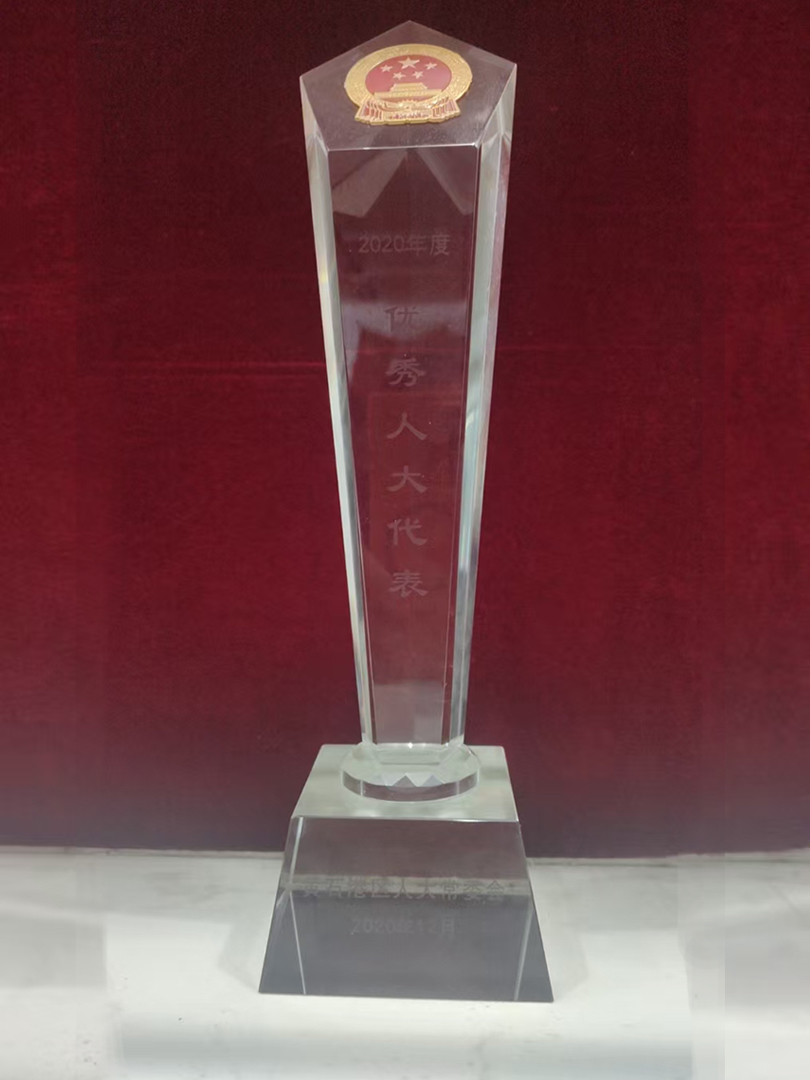 2020年度黄石港区人大常委会优秀人大代表