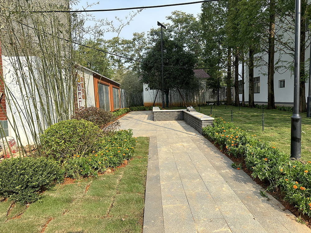 太子镇、大王镇乡村振兴建设项目（世英村标段）